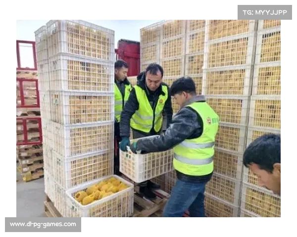 非洲首个标准羽毛球馆落成 中国千万援建项目助力体育发展 非洲首个标准羽毛球馆落成 中国千万援建项目助力体育发展